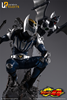 Picture of Kamen Rider Knight