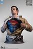 Picture of Infinity Studio X Penguin Toys: DC- Justice League Superman Life Size Bust