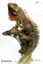Picture of Ancient Animal Series 2 - 1:2 scale Iguana Collectible Statue
