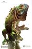 Picture of Ancient Animal Series 2 - 1:2 scale Iguana Collectible Statue