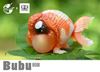 Picture of BuBu the cute gold fish 001