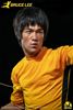 Picture of Bruce Lee Life Size Bust
