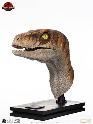 Picture of The Lost World: Jurassic Park Male Velociraptor Life-Size Bust