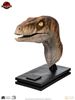 Picture of The Lost World: Jurassic Park Male Velociraptor Life-Size Bust