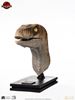 Picture of The Lost World: Jurassic Park Male Velociraptor Life-Size Bust