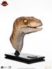 Picture of The Lost World: Jurassic Park Male Velociraptor Life-Size Bust