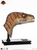 Picture of The Lost World: Jurassic Park Male Velociraptor Life-Size Bust