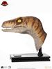 Picture of The Lost World: Jurassic Park Male Velociraptor Life-Size Bust