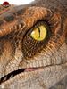 Picture of The Lost World: Jurassic Park Male Velociraptor Life-Size Bust